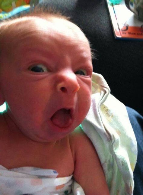 . Humour, Jokes, Funny Babies, Baby Jokes, Meme, Humor, I Love To Laugh, Funny Baby Faces, Hilarious