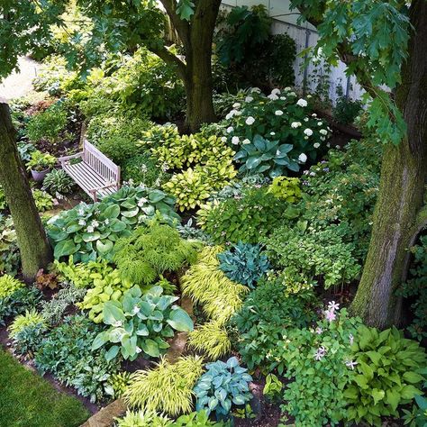 Made in the Shade: Is Your Garden a Low-Light Zone? Here's How to Turn It into a Cool, Green Retreat Inspiration, Design, Exterior, Shaded Garden, Nature, Garden Paths, Shade Garden Plants, Shade Garden Design, Shade Landscaping