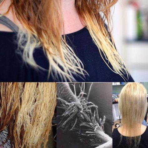 How To Fix Fried Hair (There Are Effective Solutions) Bleached Hair, Haar, Cortes De Cabello Corto, Natural Hair Styles, Peinados, Capelli, Hair Fixing, Burnt Hair, Beleza