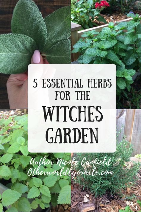 Gardening, Herbs, Medicinal Plants, Shaded Garden, Wicca, Medicinal Herbs, Witchcraft Herbs, Herbal Witch, Witch Herbs