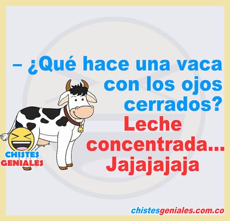 ¿Qué hace una vaca con los ojos cerrados? - Leche concentrada. Jajajaja Humour, Chistes, Frases, Mexican Humor, Spanish Memes, Humor, Funny Spanish Memes, Spanish Jokes, Funny Spanish Jokes
