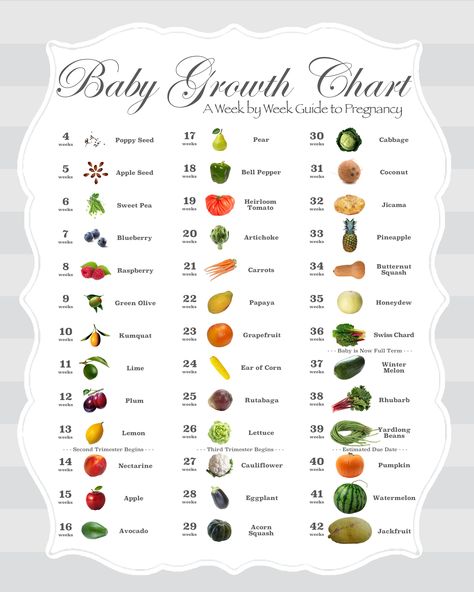A fruit and vegetable baby size comparison chart in grey/gray. Uniquely covers all 42 possible weeks of a term pregnancy. Includes indicators for second and third trimester, estimated delivery / due date, and full term status. For professional results, print on 80lb glossy paper then put it through a roll laminator. Coordinates w/ daisy chain strips also posted for siblings / family members to count up or down to Baby & a greytone chart of the weeks & months for the 1st, 2nd, and 3rd trimesters. Baby Fruit Size, Baby Fruit, Baby Growth Chart, Food Baby, Baby Growth, Baby Size By Week, Baby Size Chart, Baby Size, Trimester Chart