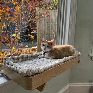 Cat Window Shelf, Diy Cat Shelves, Cat Apartment, Cat Room Decor, Cat Window Bed, Cat Furniture Design, Window Shelf, Diy Cat Bed, Cat Area