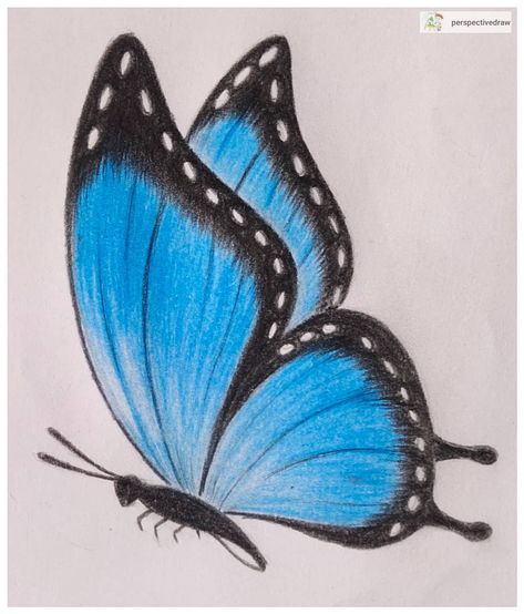 Butterfly drawing 🦋 Follow for more drawings #drawings #drawing #drawingsforbeginners #draw #drawingskills #drawingstudy #drawingsketch… Draw, Dieren, Kunst, Butterfly Drawing, Resim, Drawings, Butterfly Sketch, Ilustrasi, Butterfly Drawing Images