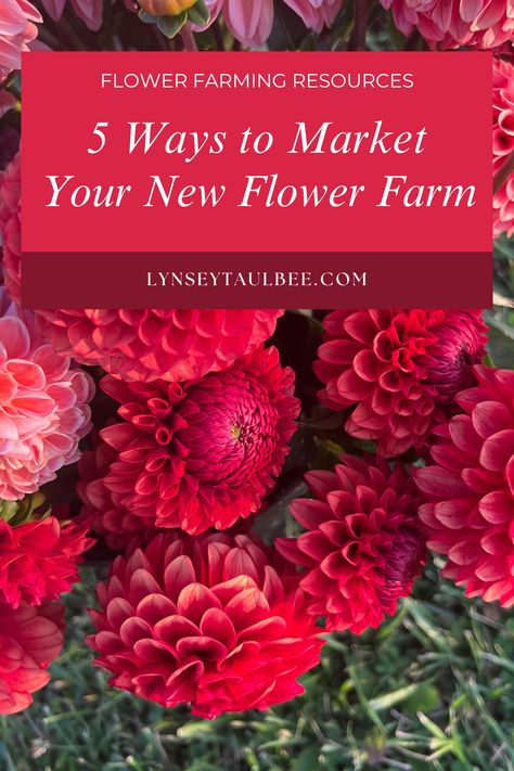 So you’ve decided to finally start your flower business, but you’re still months away from actually having your first bouquet ready to sell. You’re not nearly ready to start marketing yet, right? Wrong! Click to learn five ways you can market your flower farm before ever even planting your first seed. Garden Planning, Growing Cut Flowers, Growing Flowers, Flower Garden Plans, Flower Garden Layouts, Cut Flower Farm, Flower Seeds, Cutting Garden, Lawn And Garden