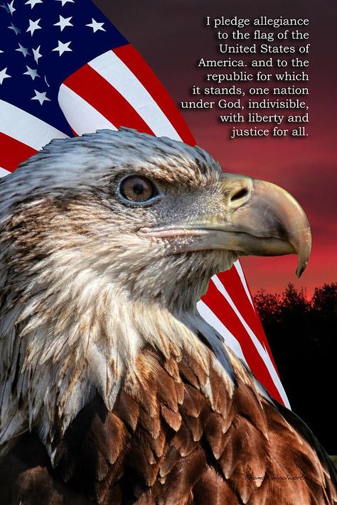 Changed June 14, 1954, from the original of 1942 to ADD "under God". The Pledge of Allegiance was written in August 1892 by the socialist minister Francis Bellamy (1855-1931). Intended for all countries to use. Eagle, American Flag, Country, San Juan, United States Of America, American Freedom, God Bless America, Pledge Of Allegiance, American Patriot