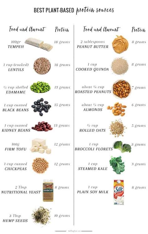 Our nutritionist shares her picks for the best plant-based protein sources, whether you're vegan or just looking to cut down on meat and dairy. Protein, Nutrition, Smoothies, Plant Based Protein Sources, Plant Based Nutrition, Protein Sources, Protein Supplements, Vegan Protein Sources, Plant Based Protein
