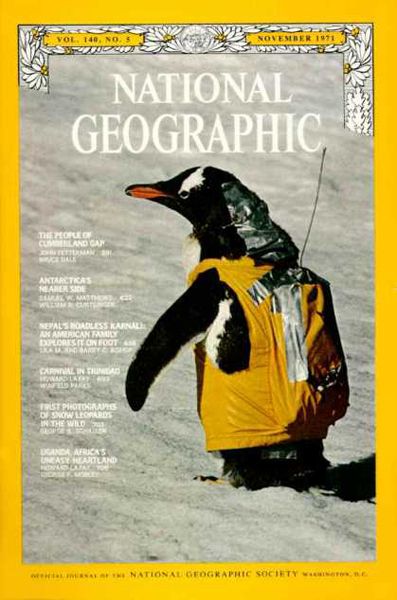Penguins, Peaks and Penny-Farthings: National Geographic Covers, 1959-2000 | WIRED Snow Leopard, National Geographic Society, National Geographic Cover, National Geographic Images, National Geographic, National Geographic Travel, Readers, Adventure Magazine, The Hanged Man