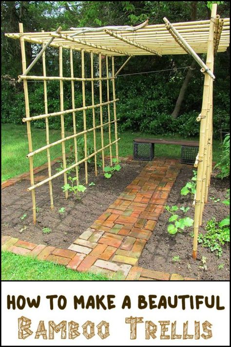 Need a Trellis? Why Not Make One Using Bamboo! Vegetable Garden Design, Vegetable Garden, Trellis, Gardening, Veg Garden, Garden Beds, Veggie Garden, Garden Projects, Garden Vines