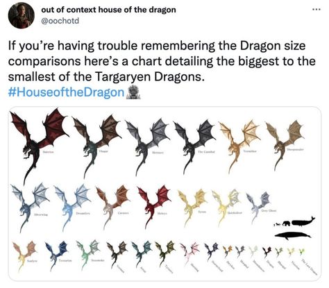 Game of Thrones returns with the House of the Dragon and with the show's premiere, come the Targaryens, Starks, and plenty of great tweets and memes. Dragons, Game Of Thrones, Fandom, Game Of Thrones Names, Game Of Thrones Dragons, Targaryen Family Tree, House Targaryen, Game Of Thrones Houses, Game Of Thrones Tattoo