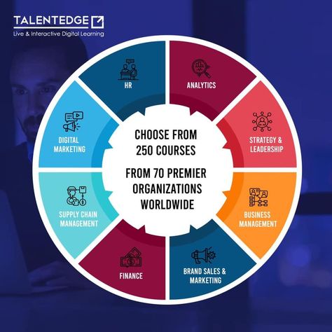 Small business courses are available on the TalentEdge site. If you want to do these courses then visit this site. To know more here: - https://talentedge.com/business-management-courses/ Popular, Big Data, Business Courses, Online Training Courses, Entrepreneurship Courses, Business Analysis, Online Courses, Corporate Communication, Management
