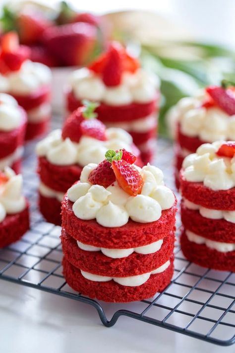 Mini Desserts, Dessert, Mini Cakes, Cupcake Cakes, Cupcake Recipes, Cake, Desserts, Cupcakes, Individual Cakes
