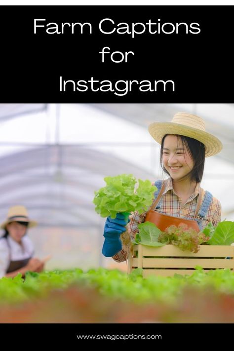 Discover the perfect farm captions for your Instagram photos! From rustic charm to agricultural adventures, find the ideal captions to complement your stunning farm pictures. #FarmCaptions #FarmInstagram #AgriculturalAdventures #RusticCharm #FarmLife #FarmPhotography #CountryLiving #FarmVibes #InstaFarm #FarmLove #FarmLifeIsTheBestLife Country, Farms, Instagram, Farm Pictures, Farm Photo, Family Farm, Farm Visit, Farm Photography, Farm Day
