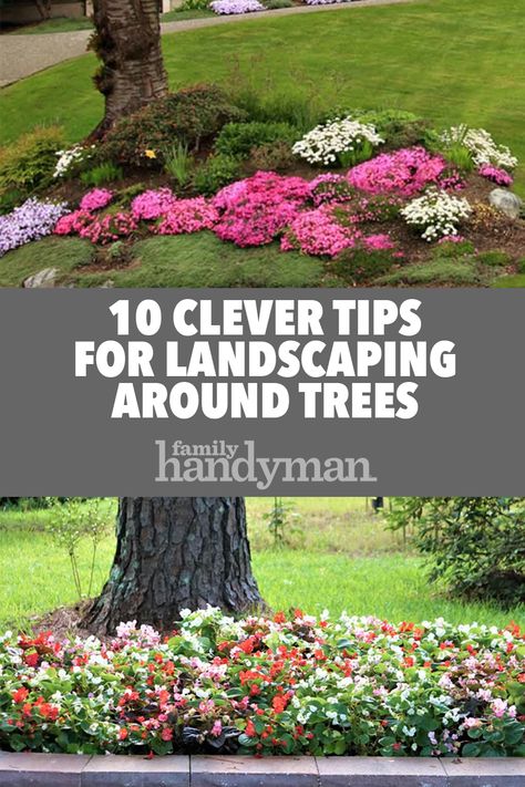 10 Clever Tips for Landscaping Around Trees Garden Landscaping, Outdoor, Shaded Garden, Backyard Trees Landscaping, Garden Ideas Around A Tree, Outdoor Landscaping, Mulch Around Trees, Garden Ideas Under Trees, Plants For Under Trees