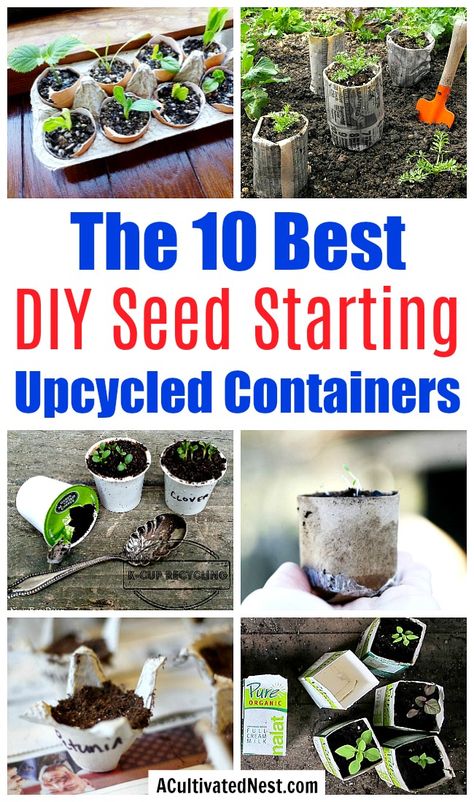 10 Creative Seed Starting Ideas- Start your seeds the frugal way with these 10 DIY upcycled seed starting containers! So many inexpensive everyday items can make great seed starters! | DIY seed starting container hacks, how to start seeds, frugal gardening, save money on gardening, gardening tips, upcycled seed starting containers, gardening hacks #gardening #gardeningtips  #seedStarting #upcycle #ACultivatedNest Gardening, Organic Gardening, Upcycling, Gardening Supplies, Seed Starting, Diy, Seed Starting Containers, Start Seeds Indoors Diy, Indoor Gardening Supplies