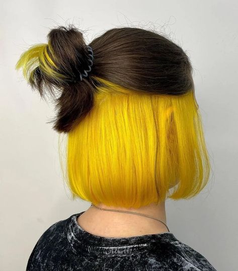 25 Eye-Popping Underneath Hair Color Ideas for 2023 – Hairstyle Camp Dark Hair, Hairstyle, Yellow Hair, Two Color Hair, Yellow Hair Color, Bold Hair Color, Hidden Hair Color, Peekaboo Hair, Hair Color Highlights