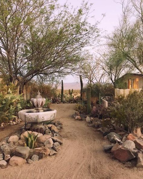 Arizona Backyard, Desert Backyard, Southwestern House, Desert Homes, Tucson, Desert Landscaping Backyard, Desert Landscaping, Outdoor Gardens, Desert Garden
