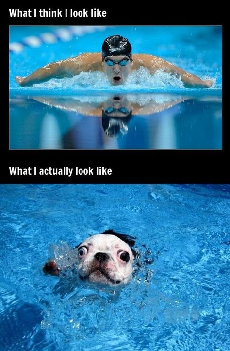 As I am starting to learn to swim (with technique that is) I envision myself totally as the first picture but know I look so much more like the second! Haha love this! Memories, Swimming, Funny Quotes, Jokes, Humour, Swim, Laughing So Hard, Bahaha, Laughter