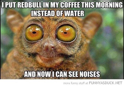 Red Bull in my coffee...now I can see noises. Funny Jokes, Slow Cooker, Funny Animal Pictures, Humour, Funny Memes, Laughing So Hard, Funny Animal Memes, Coffee Humor, Laugh
