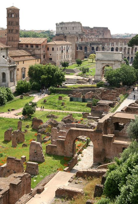 Rome Italy, Rome, Ancient Ruins, Roman Forum, Roma, Rome Holidays, Turismo, Ancient Rome, Italia