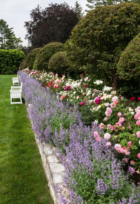 Gorgeous Gardens, Rose Garden Landscape, Garden Cottage, Beautiful Gardens, Front Garden, Arbor, Garden Inspiration, Cottage Garden, Country Gardening