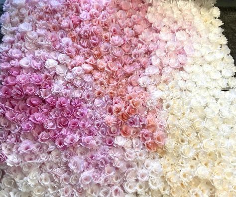 DIY Coffee Filter Flower Wall Coffee Filter Wall Backdrop, Coffee Filter Garland, Coffee Filter Flowers Diy, Coffee Filter Crafts, Coffee Filter Flowers, Diy Coffee, Diy Flower Wall, Coffee Crafts, Coffee Filters
