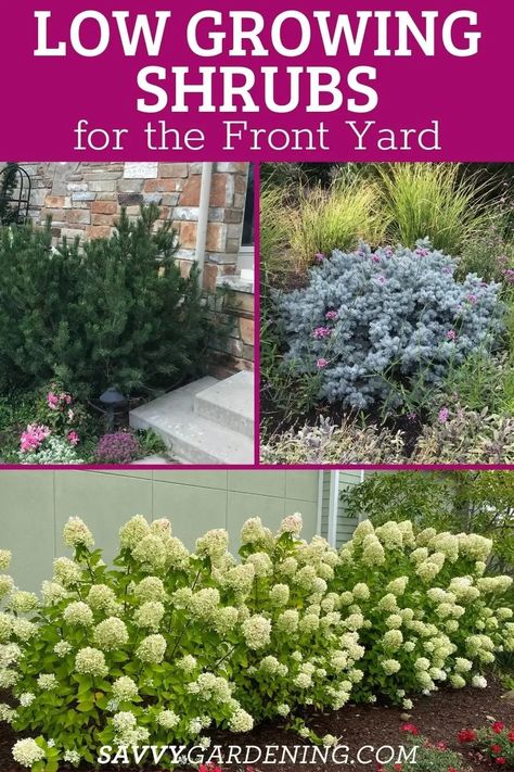 Shrubs For Landscaping, Landscaping Shrubs, Low Growing Shrubs, Porch Landscaping, Small Front Yard Landscaping, Front Yard Garden Design, Casa Patio, Front Landscaping, Low Maintenance Landscaping