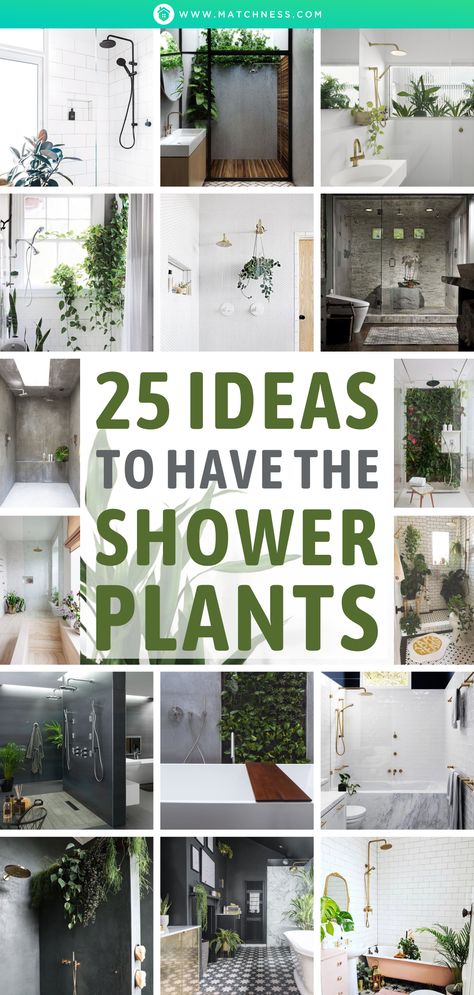Home Décor, Inspiration, Tiny Bathrooms, Bathroom Plants No Sunlight, Shower Plant, Bathroom Plants Decor, Bathroom Plants, Large Shower, Tropical Showers