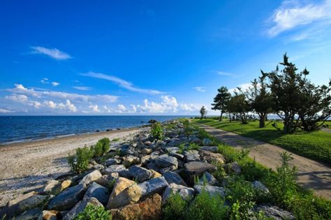 The 20 Best Things to Do in Westport, CT State Parks, Day Trip, Ocean Beach, Beach Road, Best Swimming, Beach, Beautiful Beaches, Day Trips, Coastal Towns