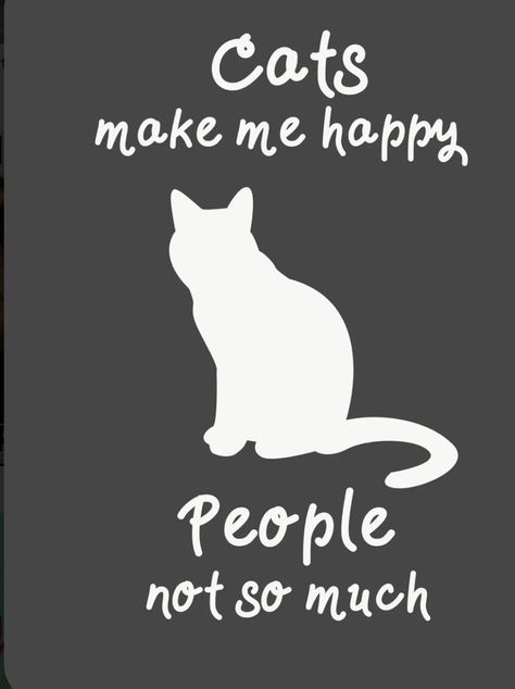 #cats #catlovers Crazy Cat Lady, Humour, Cat Lover Quote, Cat Quotes, Cat Quotes Funny, Cat Mom, Cat Lovers, Cute Cats, Cat Love