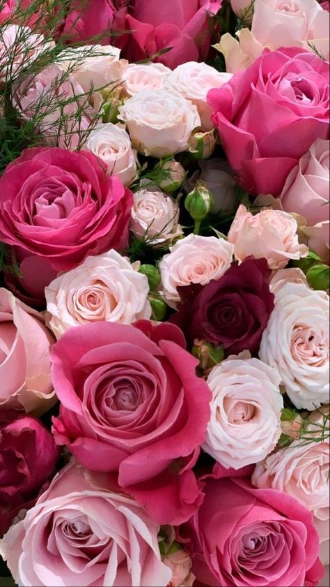Floral, Flowers, Flower Photos, Flower Pictures Roses, Flower Pictures, Flower Aesthetic, Pink Flowers, Lovely Flowers Wallpaper, Beautiful Flowers