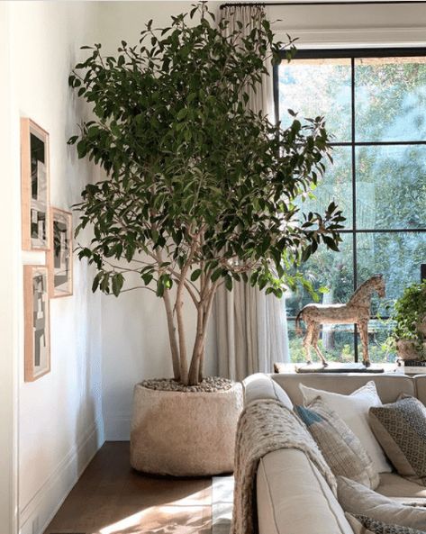 DIY Faux-Real Indoor Tree - Jenna Sue Design Home Décor, Home, Inspiration, Interior, Instagram, Interior Plants, Home Decor, Living Room Decor, Inredning