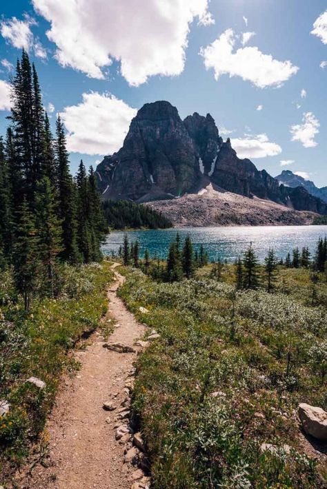 Wanderlust, Backpacking, Camping And Hiking, The Great Outdoors, Outdoor Camping, Backpacking Canada, Backpacking Trails, Mountain Hiking, Camping Destinations
