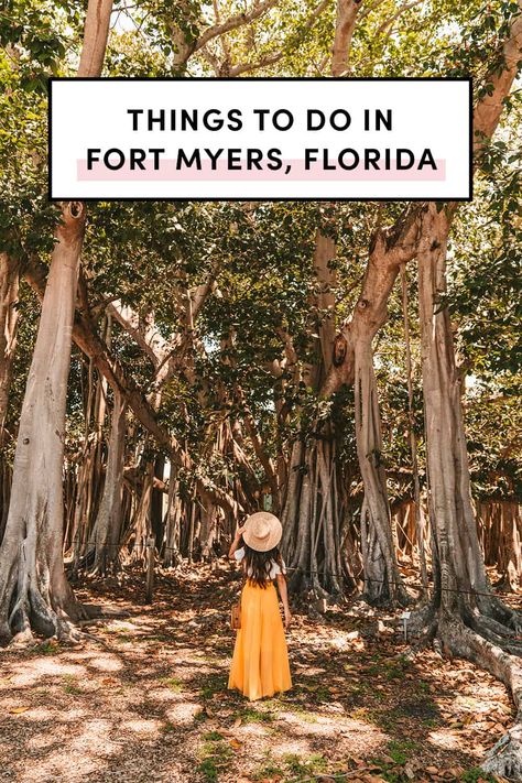 Palmas, Travel Destinations, Naples, Sanibel Island, Florida Keys, Florida, Sanibel Island Florida, Fort Myers Florida Vacation, Fort Myers Beach Florida