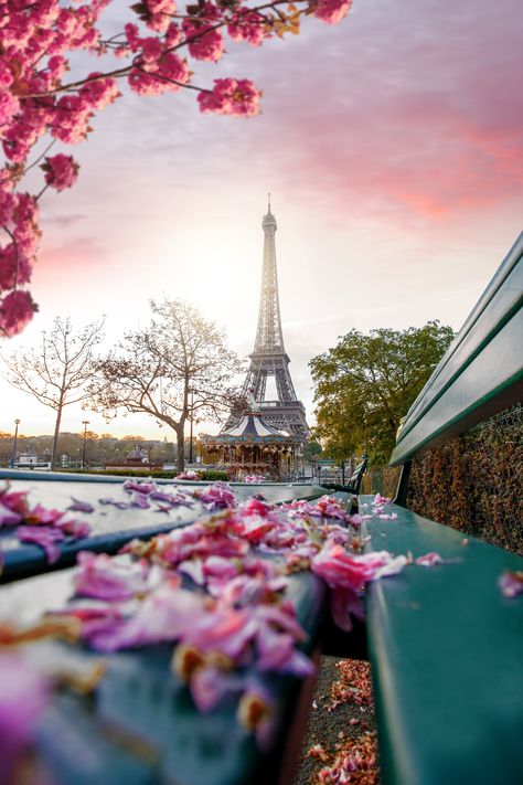Paris, Tours, Trips, Paris France, Destinations, Paris Travel, Paris Bucket List, Paris Travel Guide, Paris Travel Tips