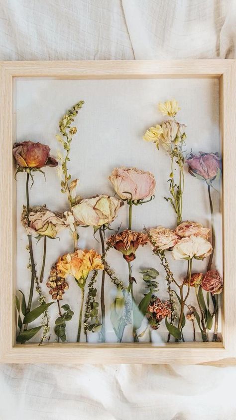 Diy, Floral, Roses, Dried And Pressed Flowers, Pressed Flowers Frame, Pressed Flowers Diy, Pressed Flowers, Flower Preservation, Pressed Roses