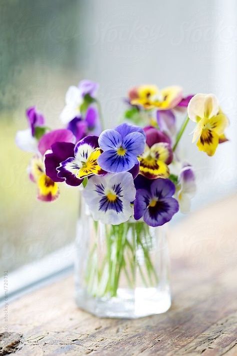 ✿❁✽Delightful✾✽❃ Floral, Flora, Flowers, Flower Photos, Beautiful Flowers, Flowers Photography, Flower Vases, Flower Power, Beautiful Flower Arrangements