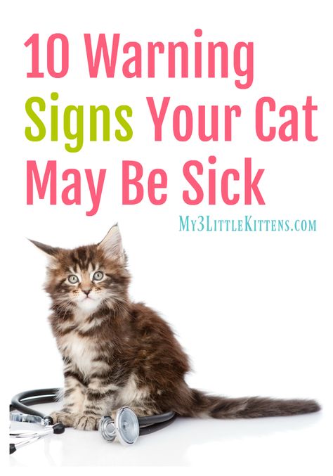 These 10 Warning Signs Your Cat May Be Sick are a must-read for any pet owner! Pet Health, Cat Health Problems, Cat Care Tips, Cat Health Care, Cat Illnesses, Cat Behavior, Cat Health, Cat Diseases, Cat Care