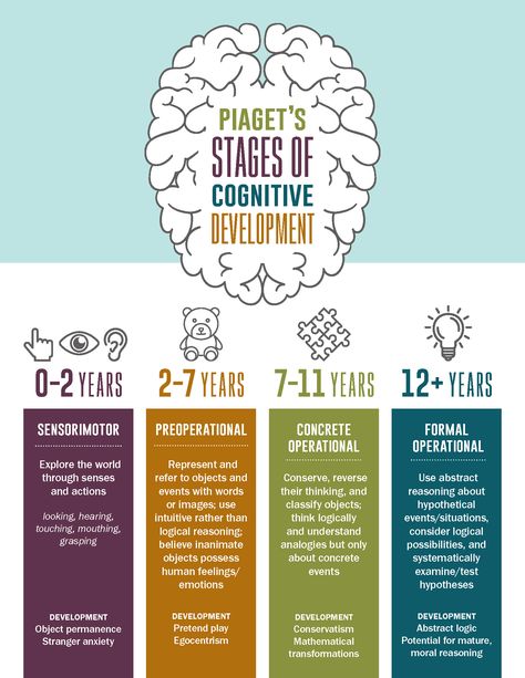 Piaget's Four Stages of Cognitive Development Infographic Coaching, Cognitive Development, Psychology Notes, Cognitive, Educational Psychology, Counselling Theories, Cognitive Development Activities, Cognitive Activities, Educational Theories