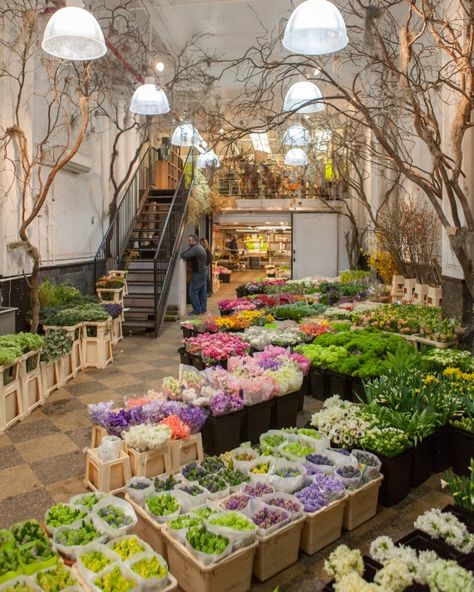 Behind the Scenes: Shop the Flower Market with Kevin Sharkey - Martha Stewart Decorating with Nature Potpourri, Flower Shop Display, Flower Shop Decor, Dekorasi Rumah, Flower Shop Design, Flower Shop Interiors, Bunga, Flower Market, Beautiful Flowers