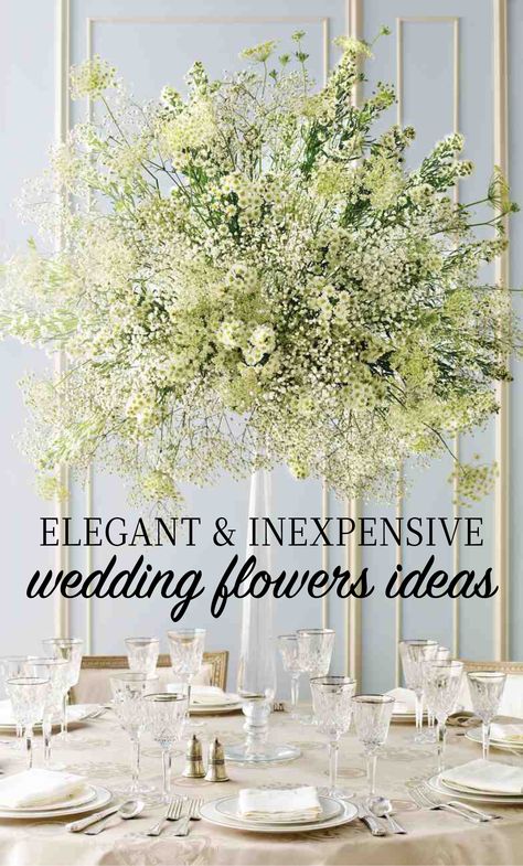 Elegant and Inexpensive Wedding Flower Ideas | Martha Stewart Weddings - Miniature daisies, doily-shaped Queen Anne's lace, and baby's breath come together in a beautiful balancing act atop a tall, graceful candlestick. Wedding Flower Centerpieces, Wedding Flower Centerpieces Tall, Flower Centerpieces Wedding, Wedding Floral Arrangements Centerpieces, Wedding Floral Centerpieces, Floral Arrangements Wedding, Wedding Flower Arrangements Table, Bridal Table Flowers, Wedding Centerpiece No Flowers
