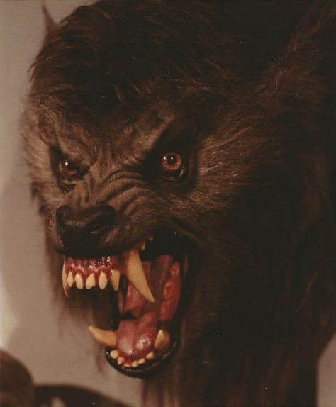 Halloween, Horror, Classic Monsters, American Werewolf In London, Creatures Of The Night, Vampires And Werewolves, Dungeons And Dragons, Space Opera, Lookout