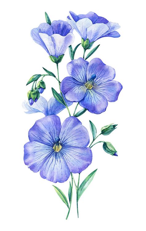 Watercolor flowers 2020 on Behance Painting & Drawing, Flower Painting Canvas, Watercolor Tulips, Floral Drawing, Beautiful Flower Drawings, Flower Drawing, Flower Sketches, Flower Art Drawing, Watercolor Flower Art