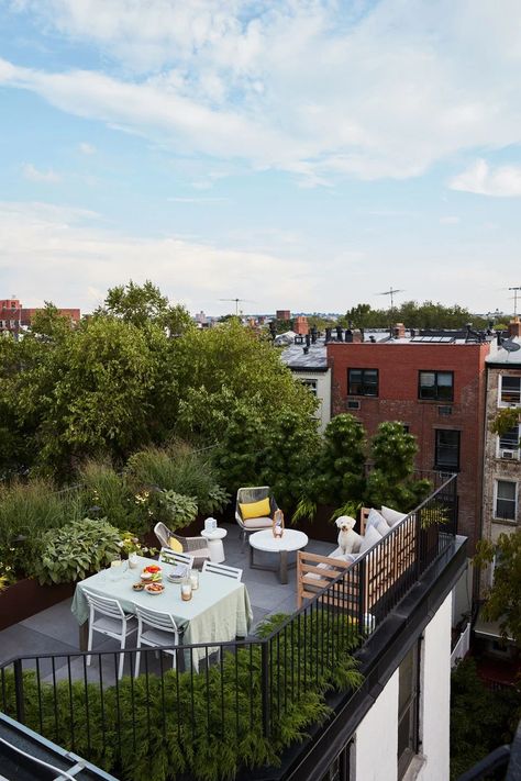Architectural Digest, Exterior, Apartment Terrace, Apartment Renovation, Brooklyn Apartment, Apartment, Rooftop Terrace Design, Rooftop Terrace, Rooftop Patio Design