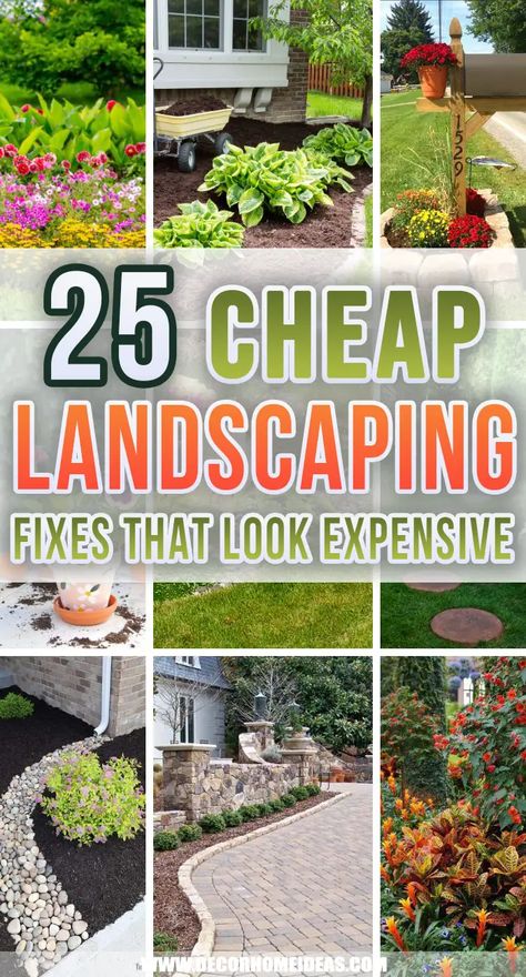 Outdoor, Shaded Garden, Yard Art, Gardening, Decks, Inexpensive Landscaping, Cheap Landscaping Ideas, Cheap Raised Garden Beds, Cheap Landscaping Ideas For Front Yard