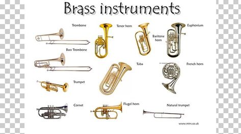 Trombone, Musicals, Saxophone, Musical Instruments, Brass Instrument, Music Instruments, Instrument Families, Instruments, Homemade Instruments