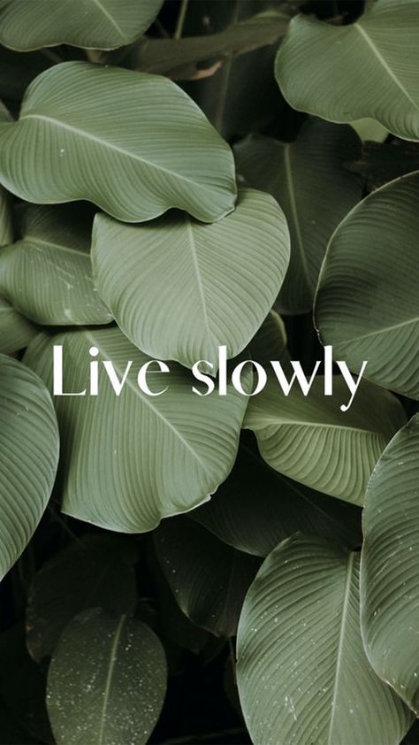Nature, Instagram, Meditation, Sustainable Living Quotes, Sustainable Living Aesthetic, Green Sustainable Aesthetic, Slow Life Quotes, Slow Life Design, Living Quotes