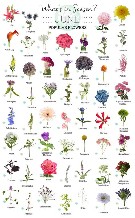 Floral Arrangements, Gardening, Floral, Bouquets, Wholesale Flowers, Spring Flowers, Flower Types, Flower Arrangements, May Flowers