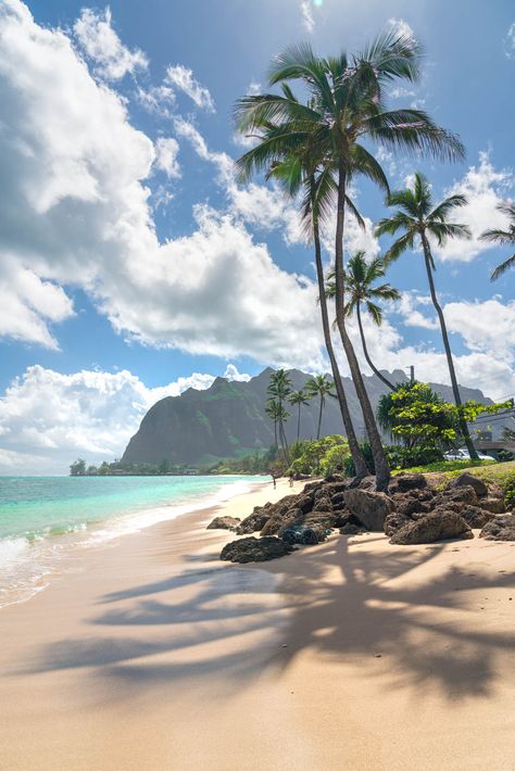 Palawan, Oahu, Oahu Hawaii, Aqua, Summer, Destinations, Hawaii Pictures, Paradise Beaches, Beach Paradise