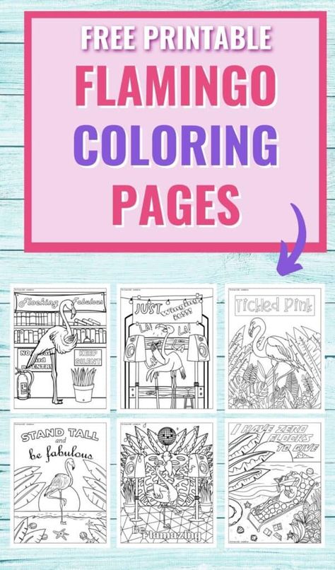 Colouring Pages, Crafts, Flamingo Coloring Page, Flamingo Facts, Coloring Pages For Kids, Bird Coloring Pages, Free Adult Coloring Pages, Colouring Sheets For Adults, Flamingo Puns